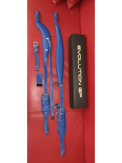 Double Support TRACOLLE-STRAPS "A" for ACCORDION EVOLUTION GP