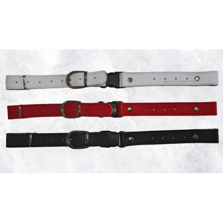 BACK STRAP FOR ACCORDION SHOULDER STRAPS EVOLUTION GP